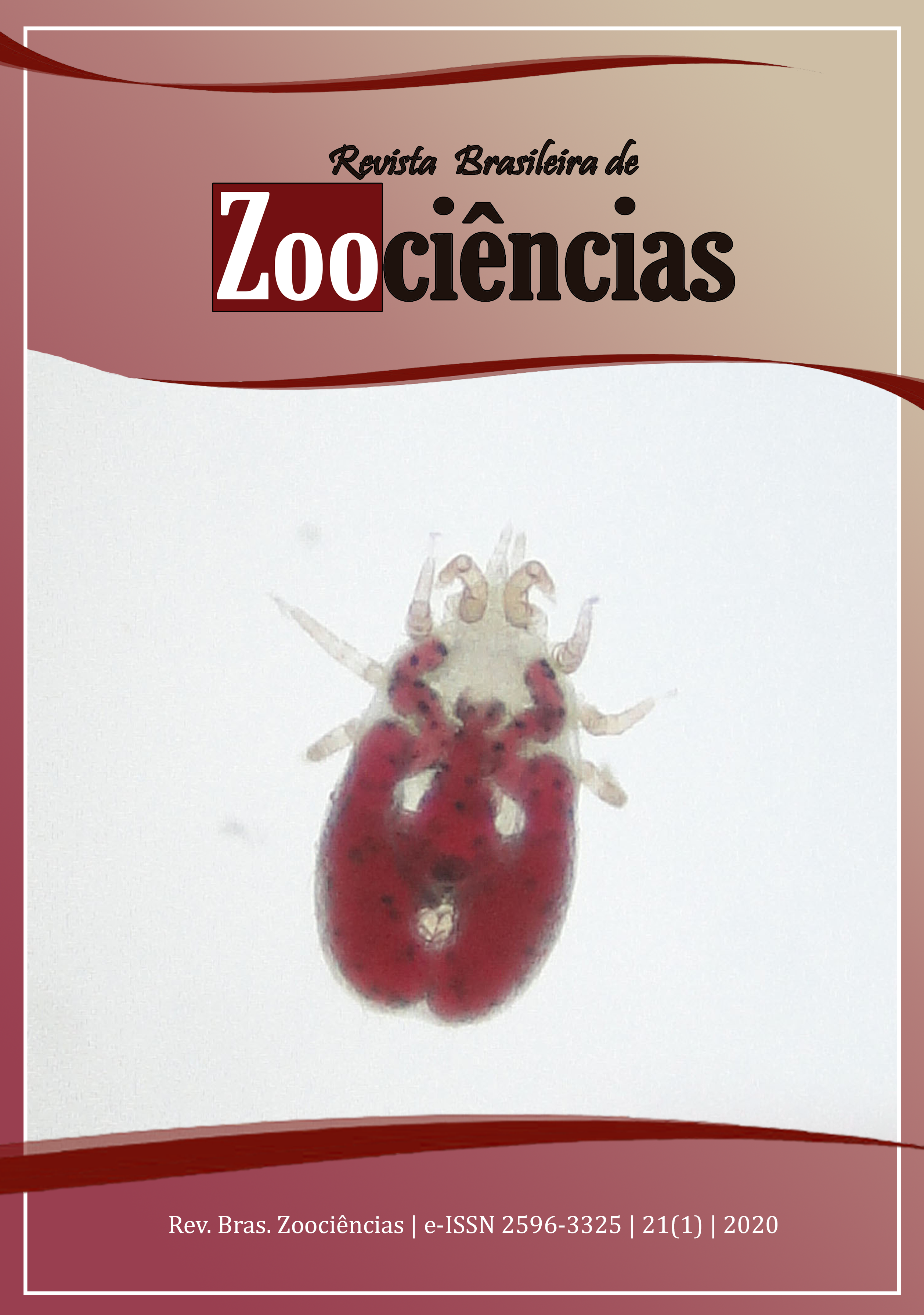 SciELO - Brazil - As vespas que caçam com seus dentes: Artefatos  multiespécies, ritual e relações entre humanos e não humanos entre os  Karitiana (Rondônia) As vespas que caçam com seus dentes